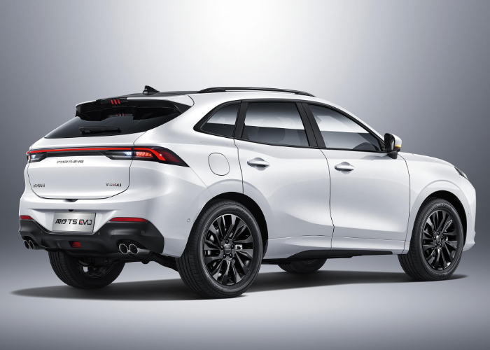 T5 EVO - imagen 1